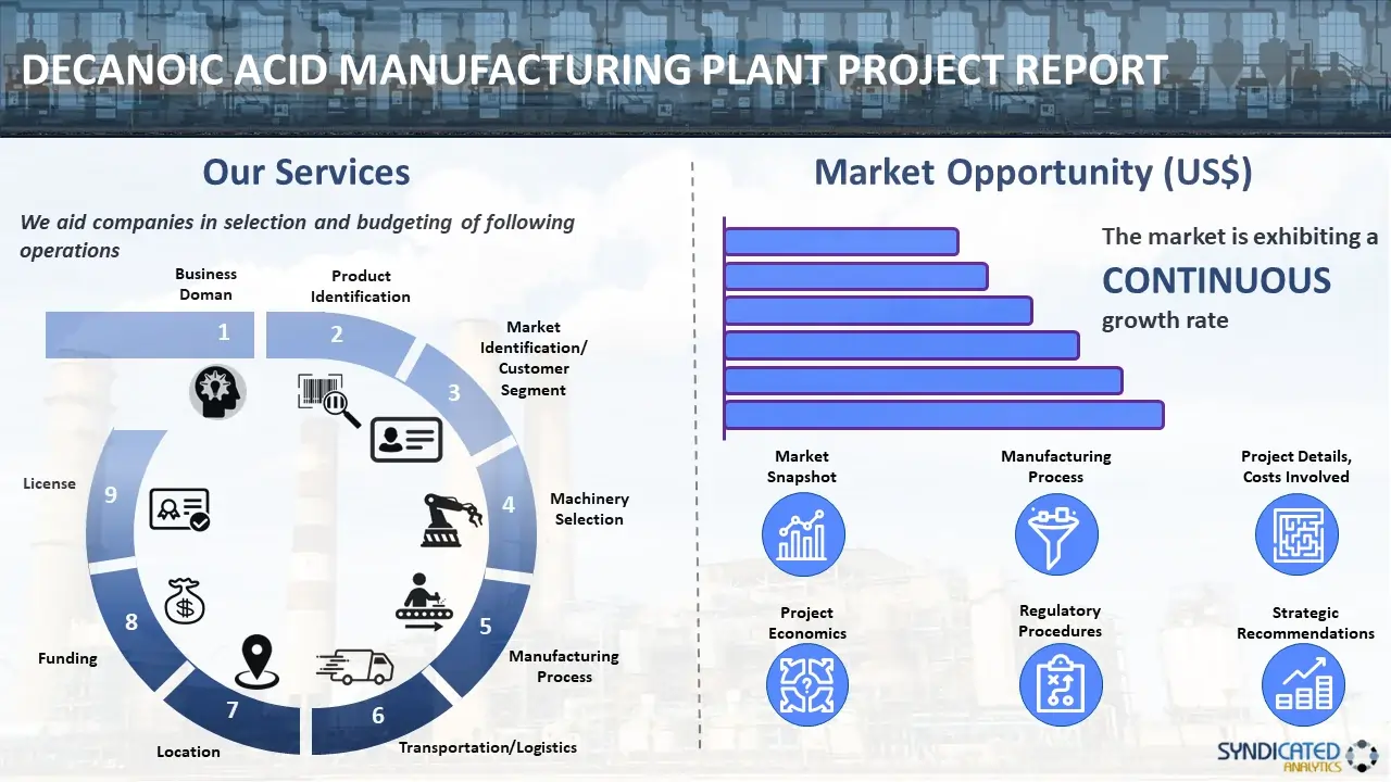 Decanoic Acid Manufacturing Plant Project Report
